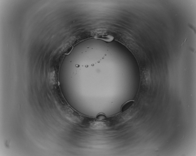 X0000101690224200807171442