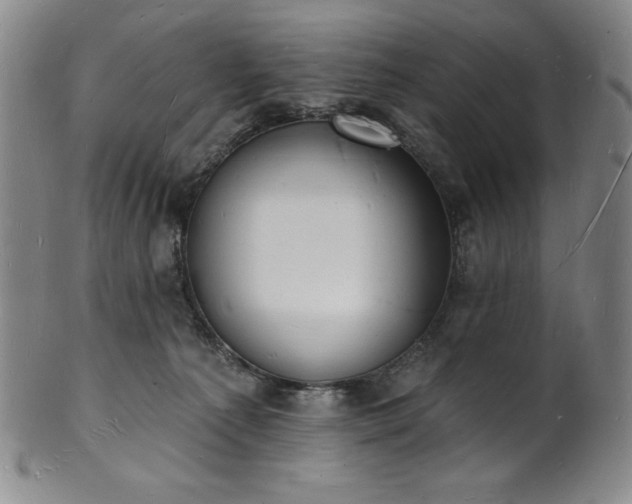 X0000101690225200807171442