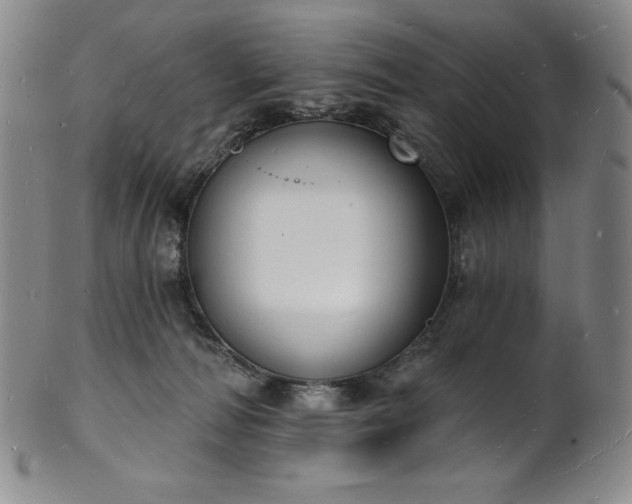 X0000101690226200807171442