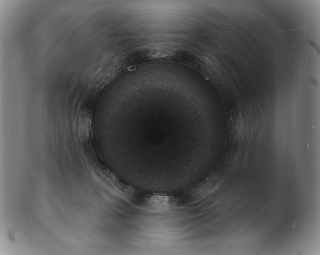 X0000101690227200807171442