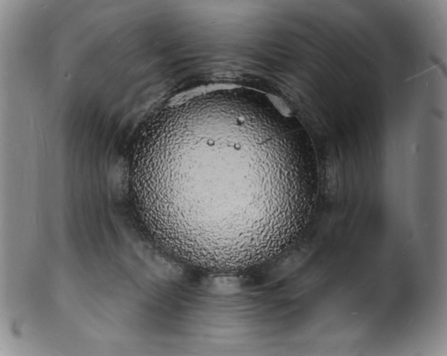 X0000101690228200807171442