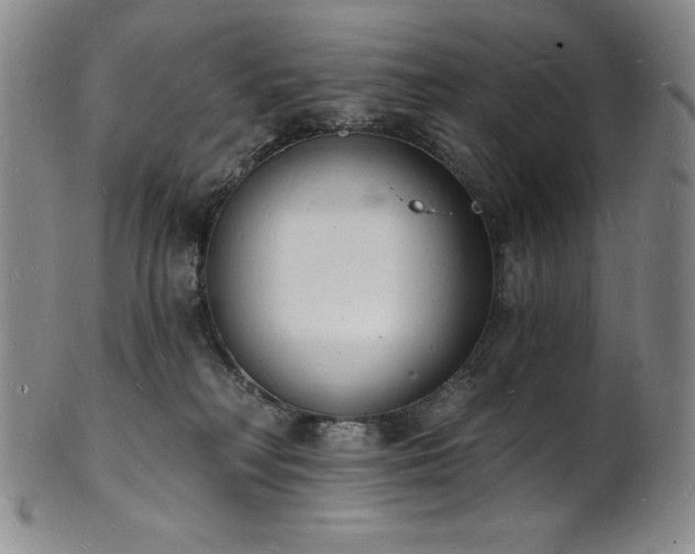 X0000101690230200807171442