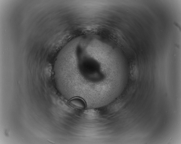 X0000101690231200807171442