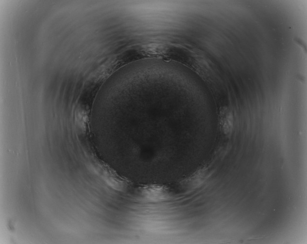 X0000101690235200807171442