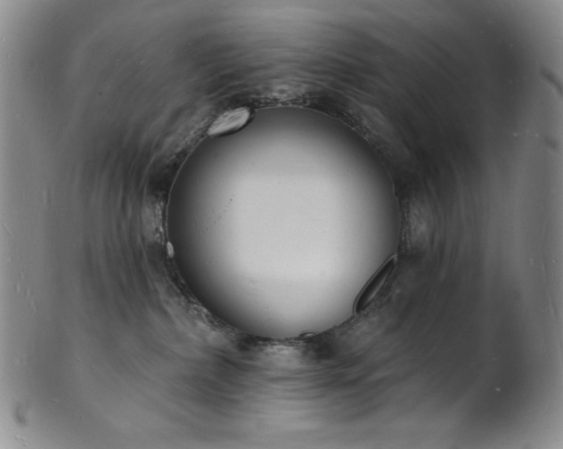 X0000101690236200807171442