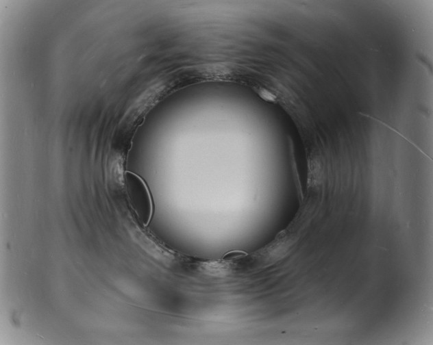 X0000101690238200807171442