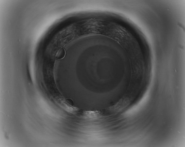 X0000101690239200807171442