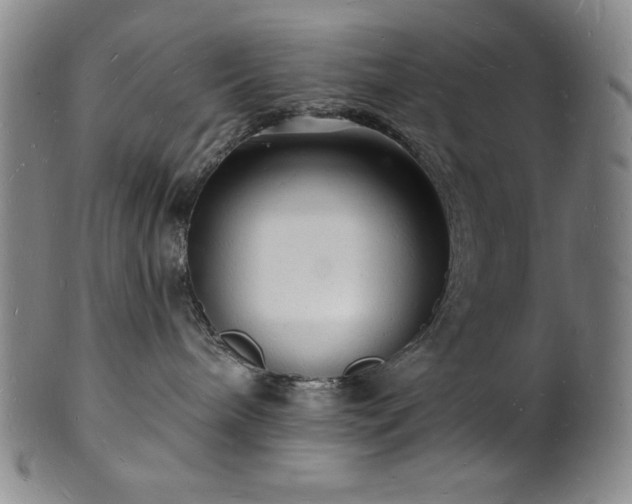 X0000101690240200807171442