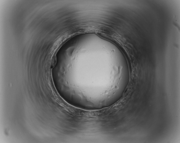 X0000101690241200807171441