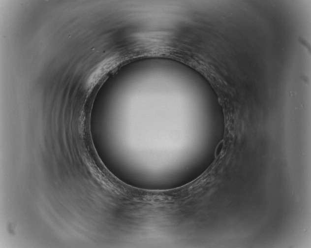 X0000101690242200807171441