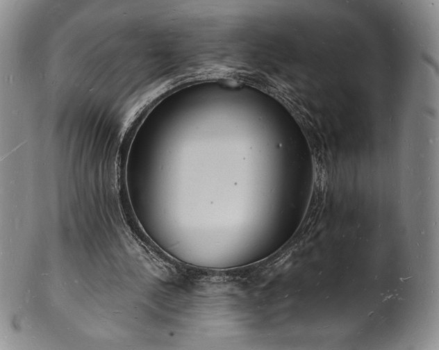 X0000101690244200807171441