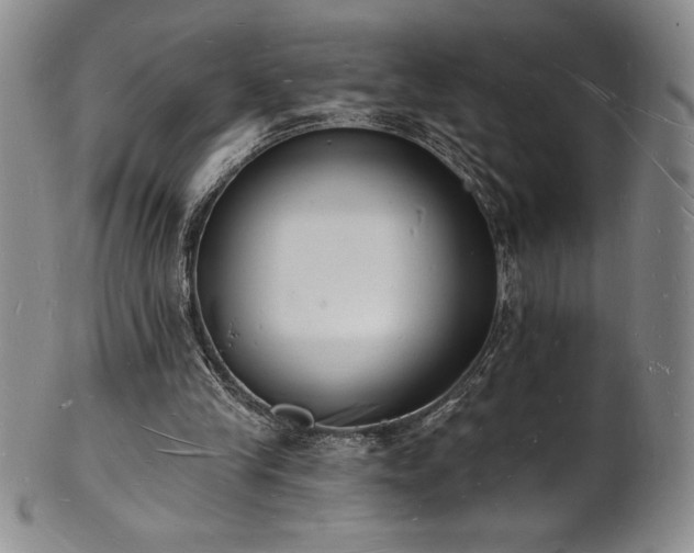 X0000101690245200807171441