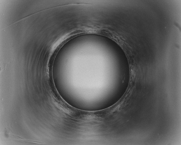 X0000101690246200807171442