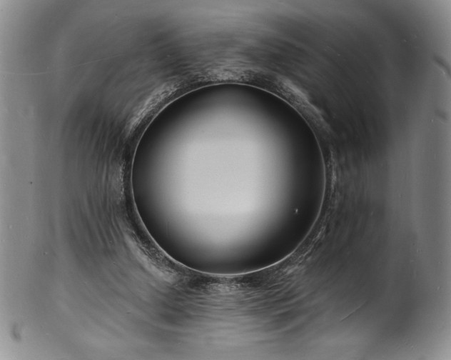 X0000101690250200807171442