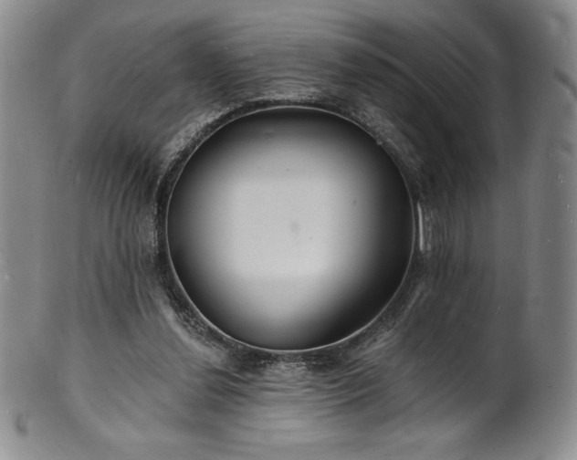 X0000101690252200807171442