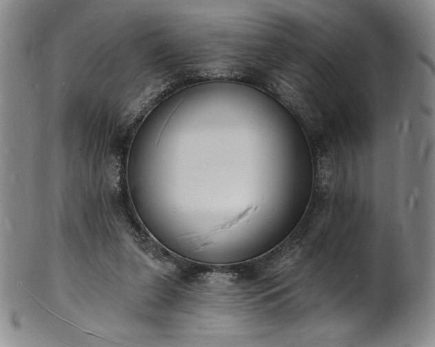 X0000101690255200807171442