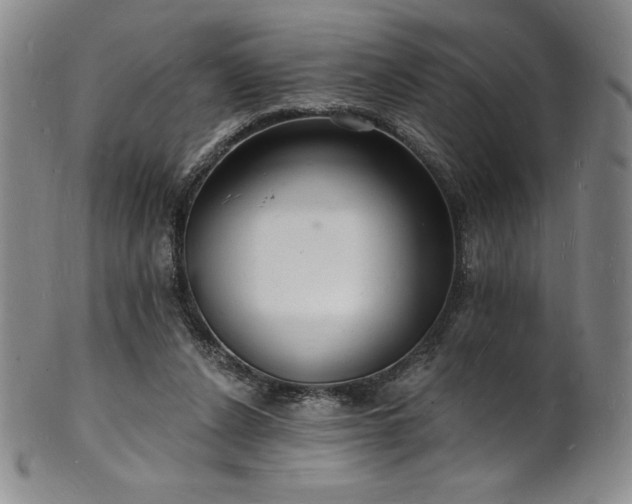 X0000101690256200807171442