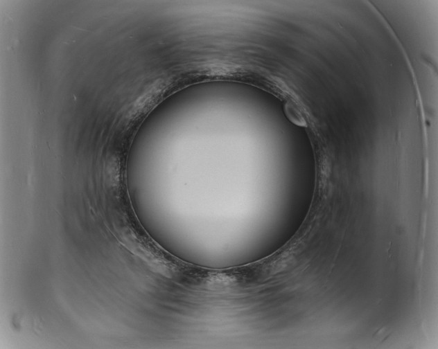 X0000101690257200807171442