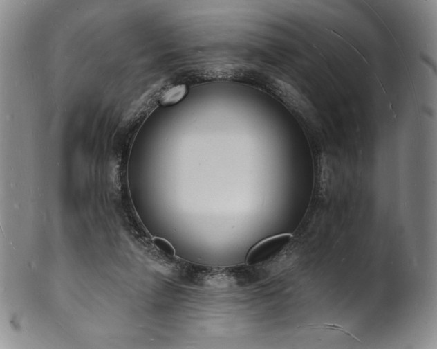 X0000101690258200807171442