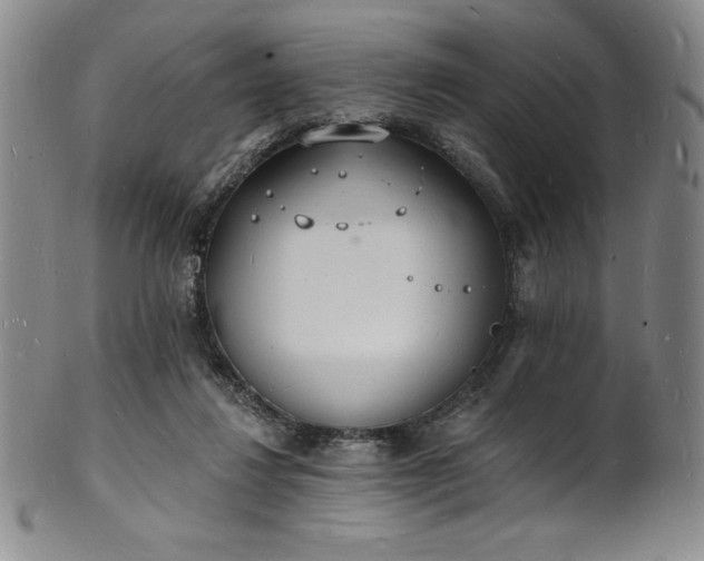 X0000101690260200807171442