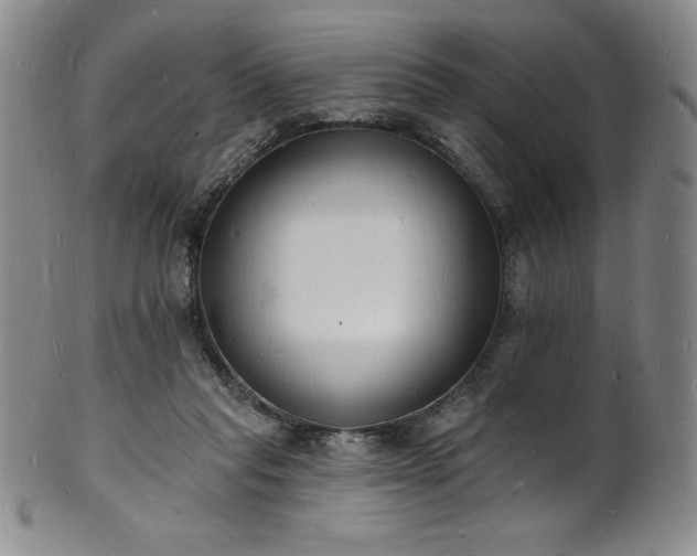 X0000101690261200807171442