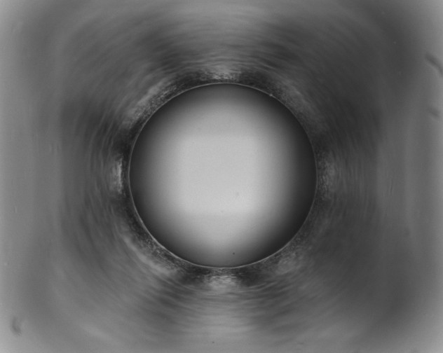 X0000101690262200807171442