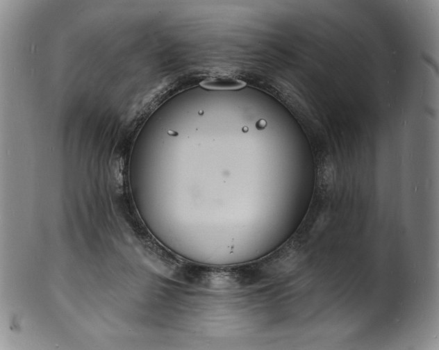 X0000101690264200807171442