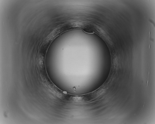 X0000101690265200807171442