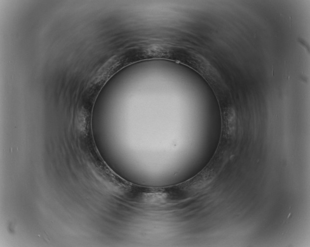 X0000101690266200807171442