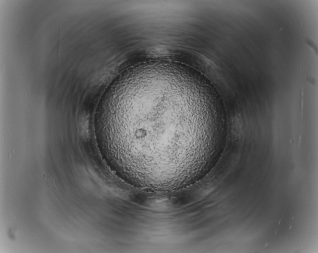 X0000101690267200807171442