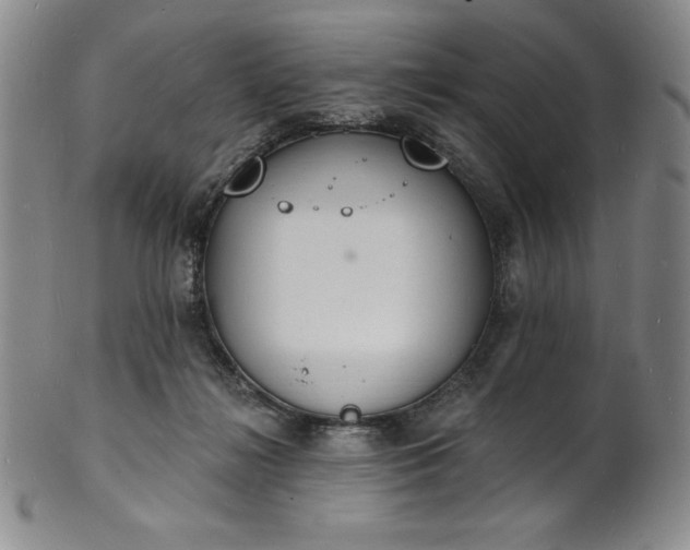 X0000101690268200807171442