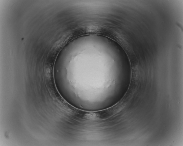 X0000101690269200807171442