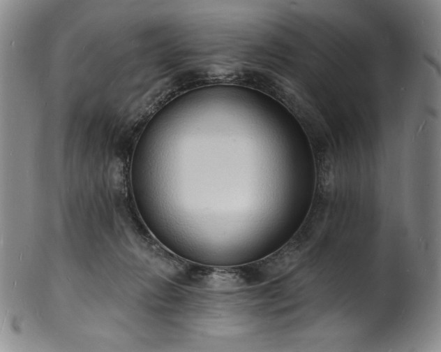 X0000101690270200807171442