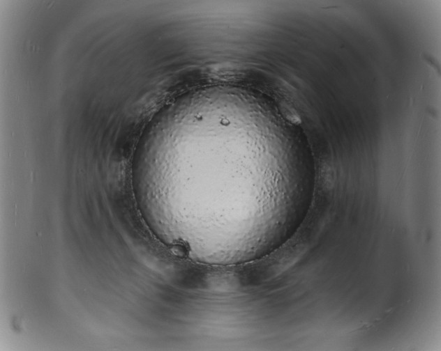 X0000101690271200807171442