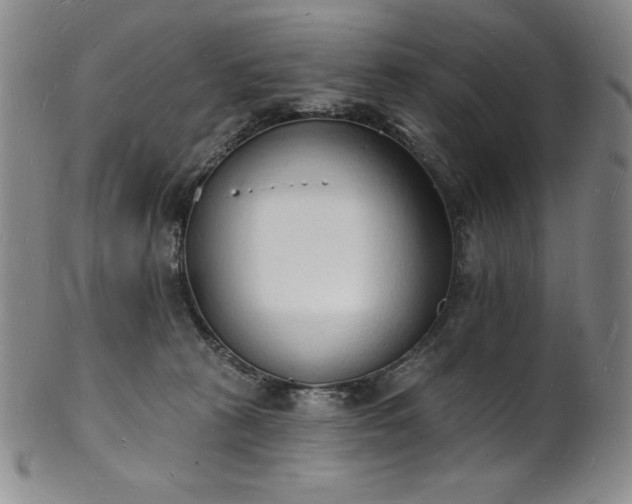 X0000101690273200807171442