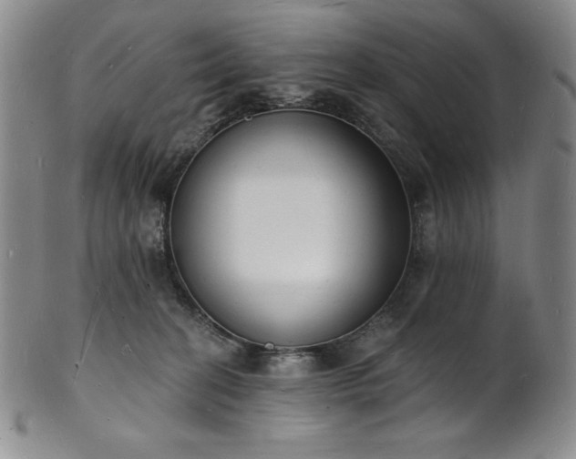 X0000101690274200807171442