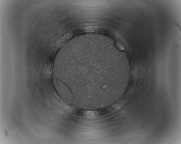 X0000101690277200807171442