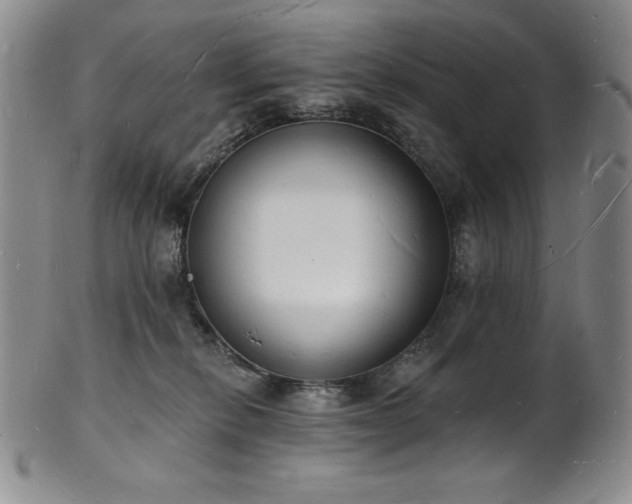 X0000101690278200807171442