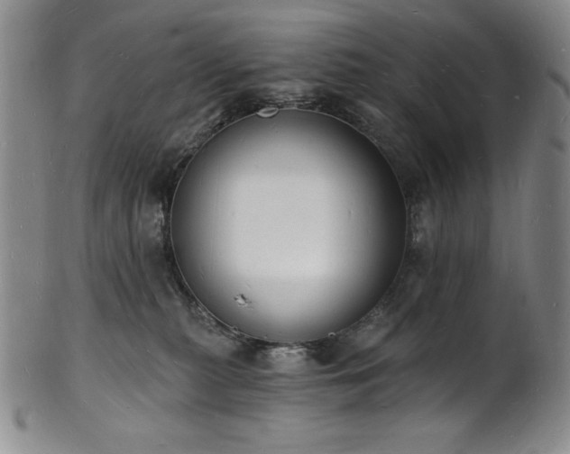 X0000101690279200807171442