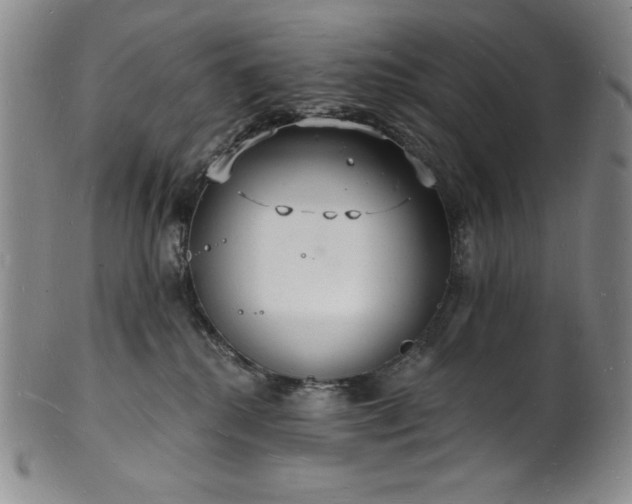 X0000101690280200807171442