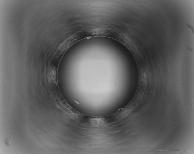 X0000101690281200807171442