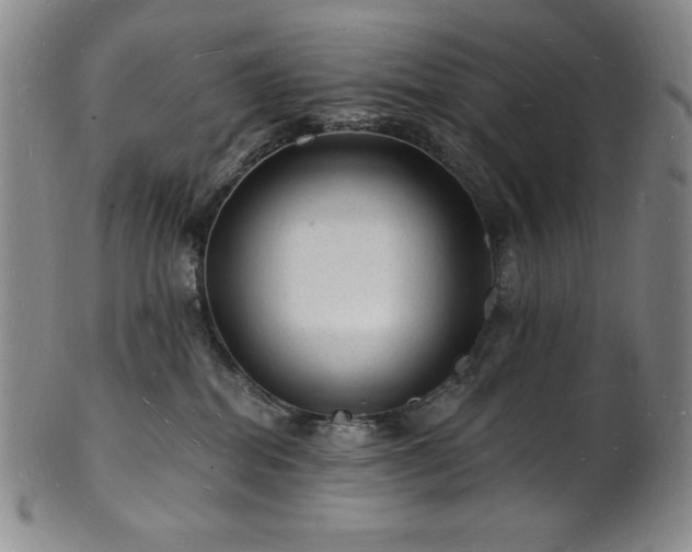 X0000101690282200807171442