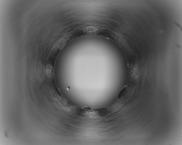 X0000101690283200807171442