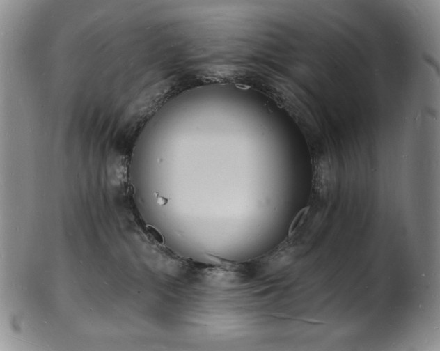 X0000101690284200807171442