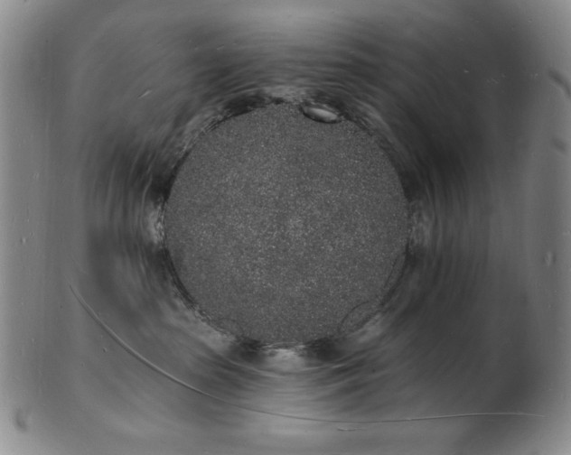 X0000101690285200807171442