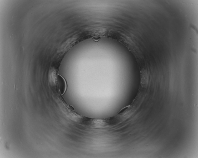 X0000101690287200807171442