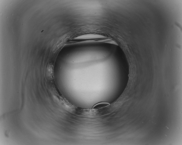 X0000101690288200807171442