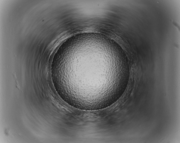 X0000101690290200807171441