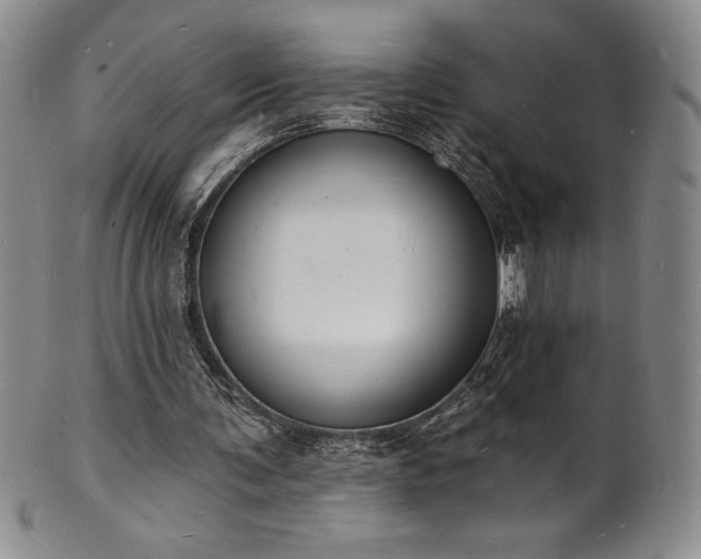 X0000101690291200807171441