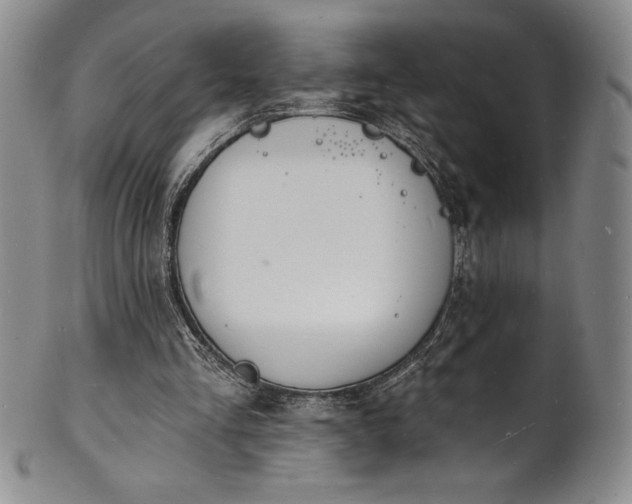 X0000101690293200807171441